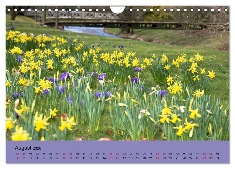Produktbild: Kurpark Baden-Baden (Wandkalender 2026 DIN A4 quer), CALVENDO Monatskalender