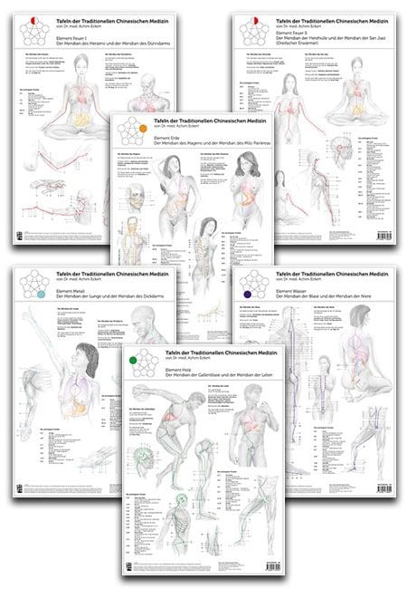 Produktbild: Set von 6 Tafeln der Traditionellen Chinesischen Medizin