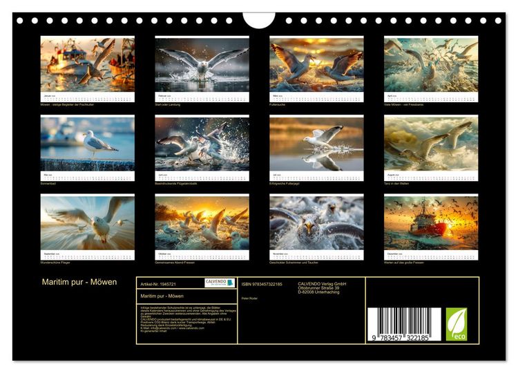 Produktbild: Maritim pur - M&ouml;wen (Wandkalender 2026 DIN A4 quer), CALVENDO Monatskalender