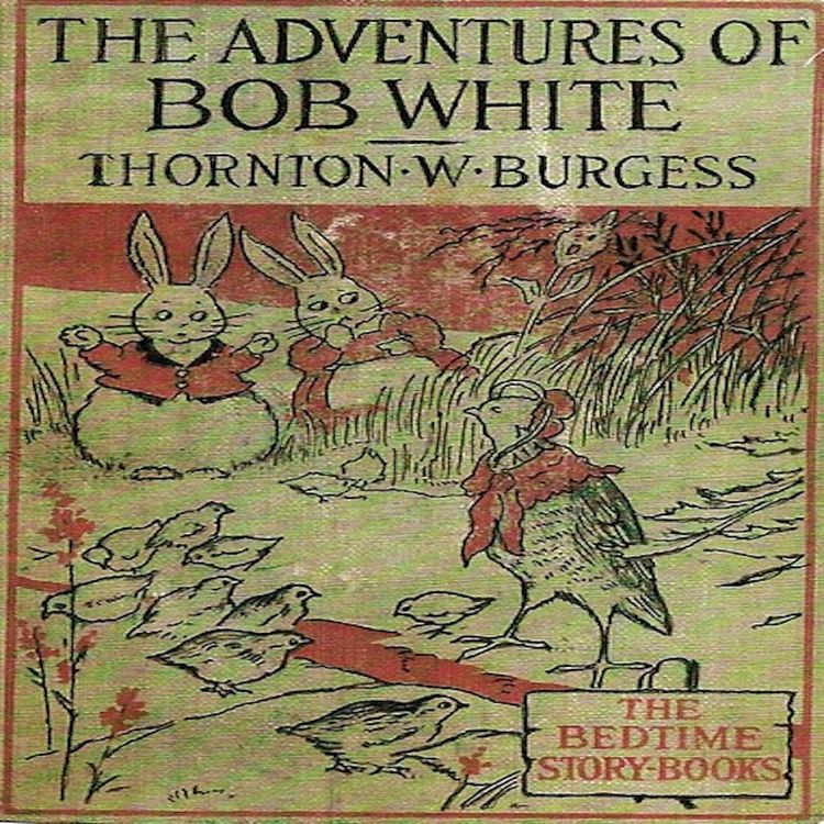 Produktbild: The Adventures of Bob White