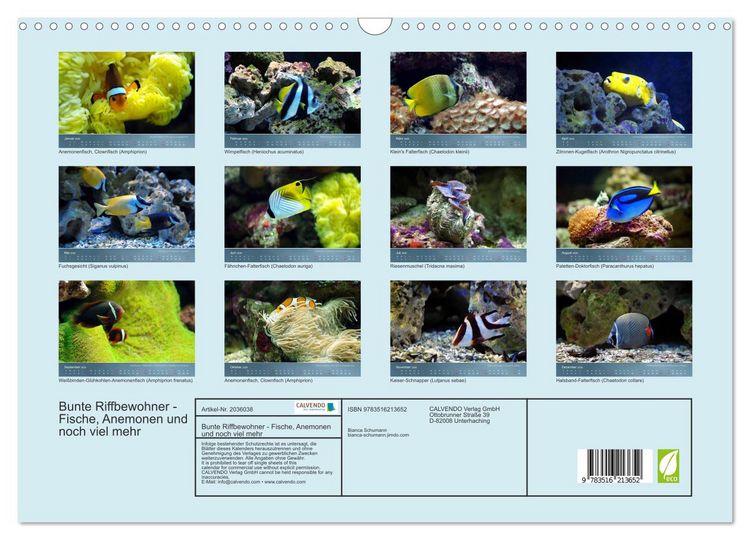 Produktbild: Bunte Riffbewohner - Fische, Anemonen und noch viel mehr (Wandkalender 2026 DIN A3 quer), CALVENDO Monatskalender