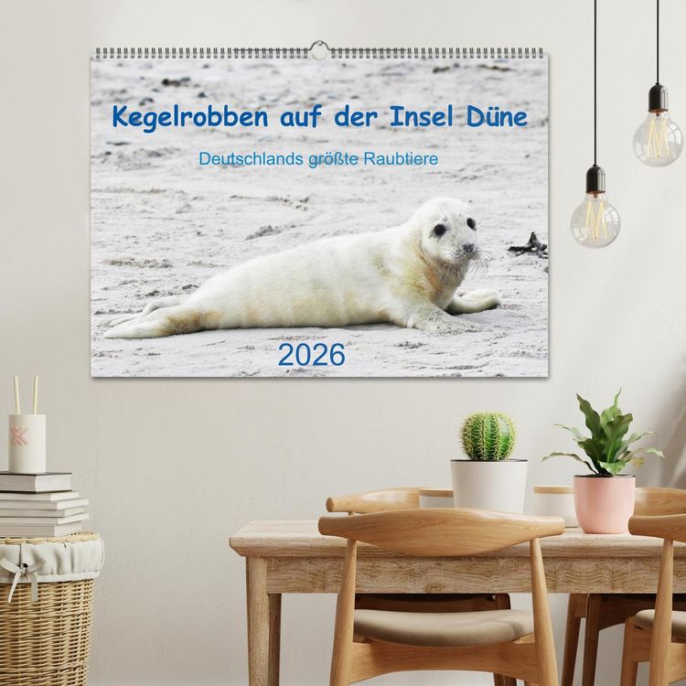 Produktbild: Kegelrobben auf der Insel D&uuml;ne (Wandkalender 2026 DIN A2 quer), CALVENDO Monatskalender