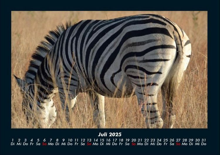 Produktbild: Zebrazauber 2025 Fotokalender DIN A4