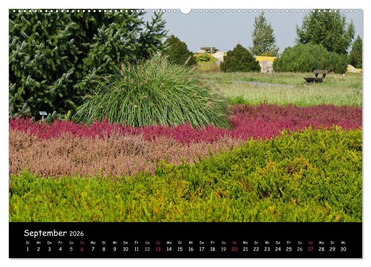 Produktbild: Findlingspark Nochten 2026 (hochwertiger Premium Wandkalender 2026 DIN A2 quer), Kunstdruck in Hochglanz