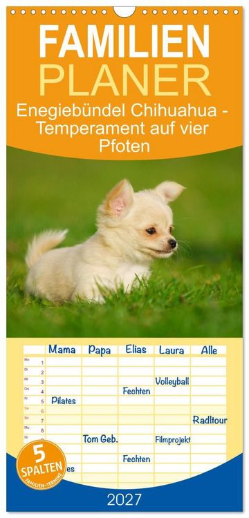 Produktbild: Familienplaner 2027 - Enegieb&uuml;ndel Chihuahua - Temperament auf vier Pfoten mit 5 Spalten (Wandkalender, 21 x 45 cm) CALVENDO