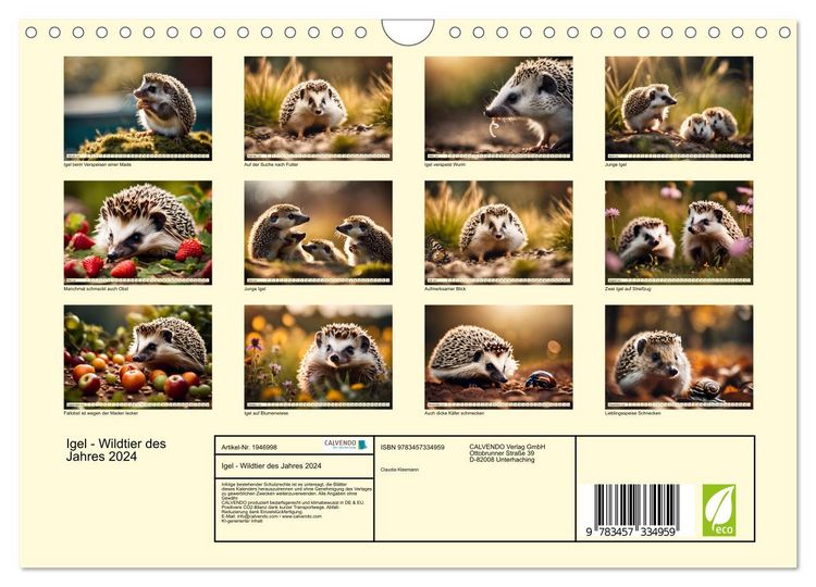 Produktbild: Igel - Wildtier des Jahres 2024 (Wandkalender 2026 DIN A4 quer), CALVENDO Monatskalender