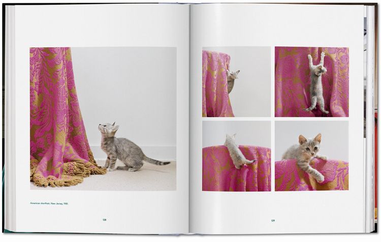 Produktbild: Walter Chandoha. Cats. Photographs 1942&ndash;2018