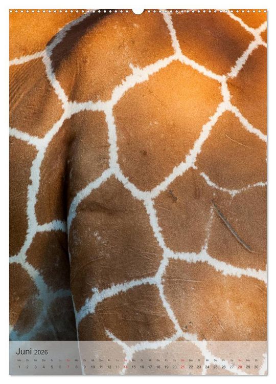Produktbild: Emotionale Momente: Giraffen, die h&ouml;chsten Tiere der Welt. (hochwertiger Premium Wandkalender 2026 DIN A2 hoch), Kunstdruck in Hochglanz