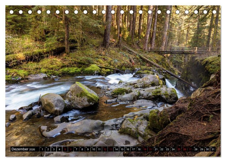 Produktbild: Waldwasser (Tischkalender 2026 DIN A5 quer), CALVENDO Monatskalender
