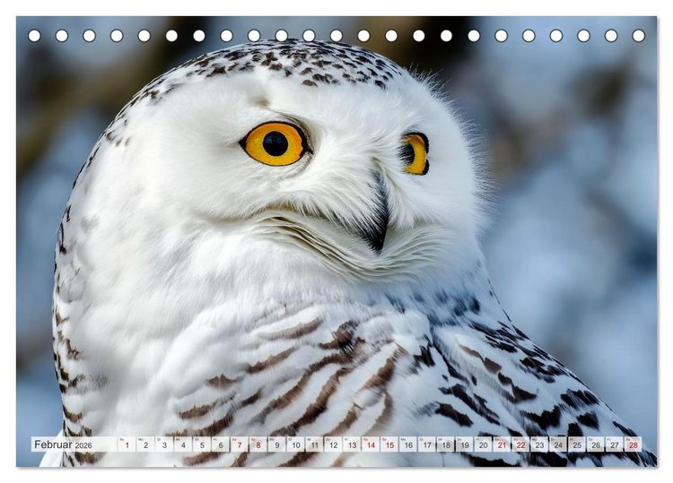 Produktbild: ARKTISCHE TIERE Im Reich der K&auml;lte (Tischkalender 2026 DIN A5 quer), CALVENDO Monatskalender