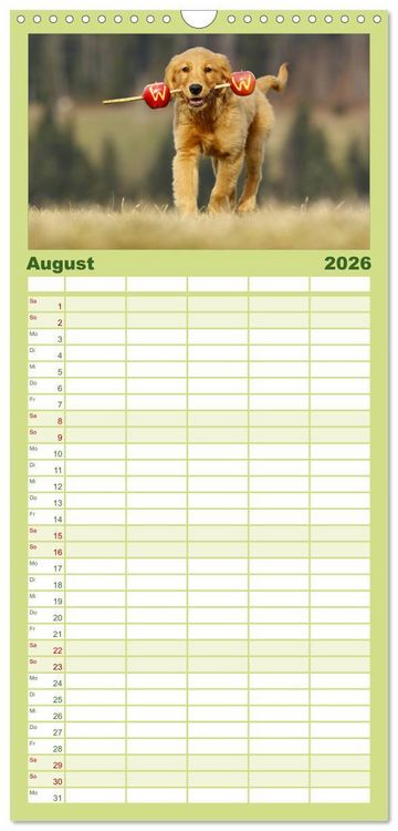 Produktbild: Familienplaner 2026 - Chesley Kleiner Hund grosse Abenteuer mit 5 Spalten (Wandkalender, 21 x 45 cm) CALVENDO