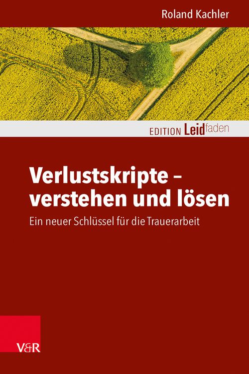 Produktbild: Verlustskripte &ndash; verstehen und l&ouml;sen