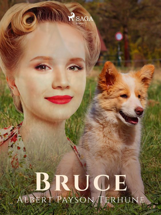 Produktbild: Bruce