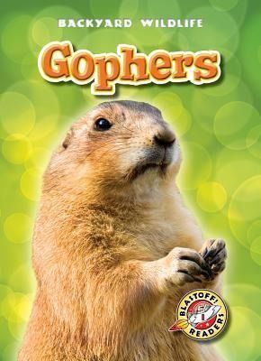 Produktbild: Gophers