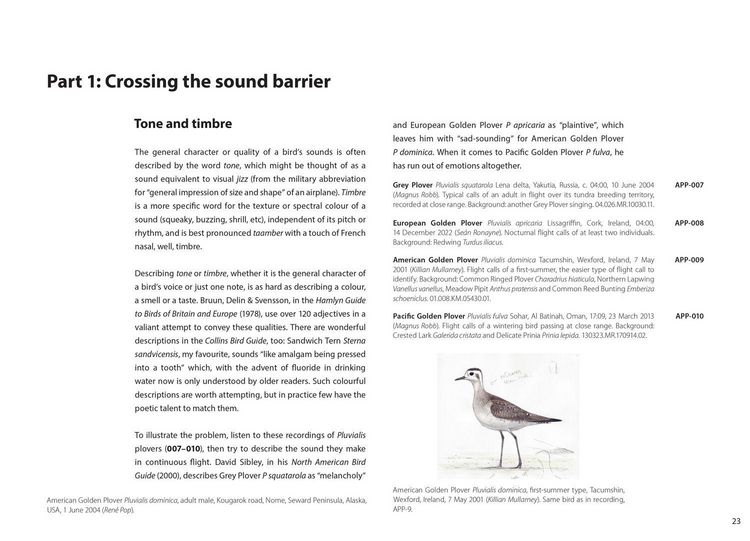 Produktbild: Xsound Approach To Birding Hb