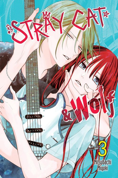Produktbild: Stray Cat & Wolf, Vol. 3