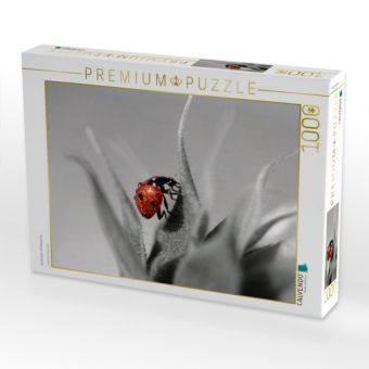 Produktbild: CALVENDO Puzzle Gl&uuml;cksk&auml;fer mit Morgentau | 1000 Teile Lege-Gr&ouml;&szlig;e 64x48cm Foto-Puzzle f&uuml;r gl&uuml;ckliche Stunden