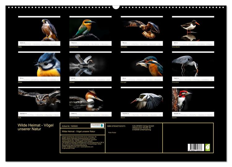 Produktbild: Wilde Heimat - V&ouml;gel unserer Natur (Wandkalender 2026 DIN A2 quer), CALVENDO Monatskalender