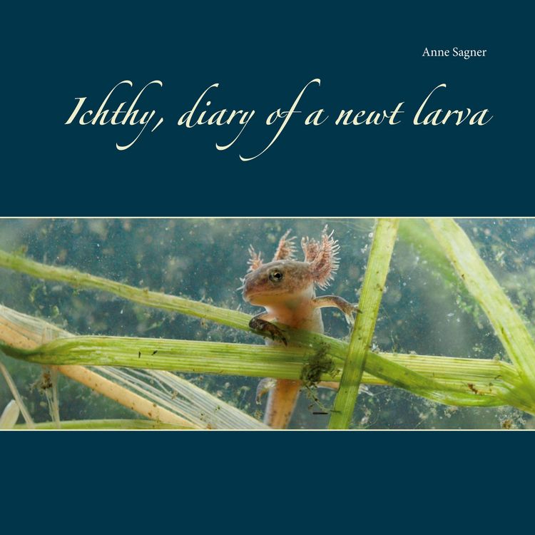 Produktbild: Ichthy, diary of a newt larva