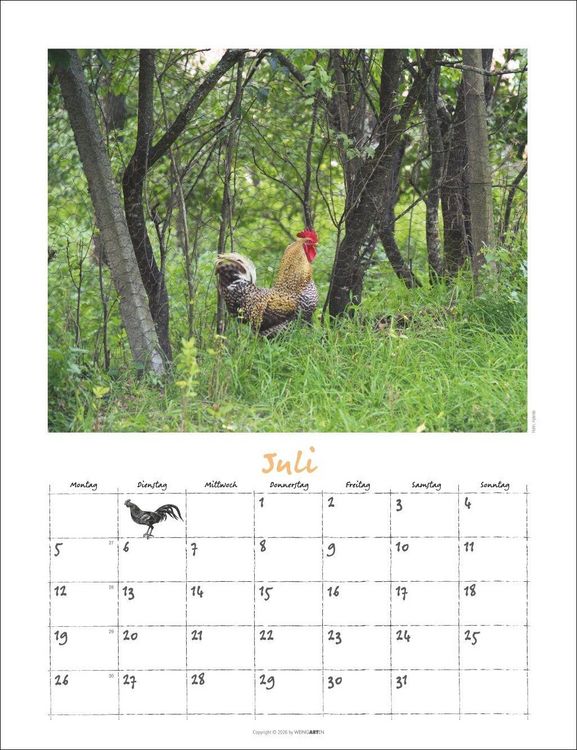 Produktbild: Der H&uuml;hnerkalender 2027