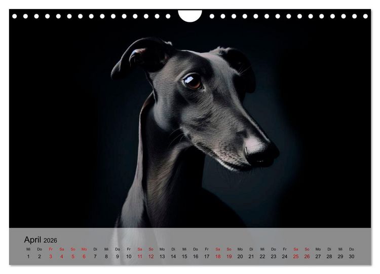 Produktbild: Black is beautiful (Wandkalender 2026 DIN A4 quer), CALVENDO Monatskalender