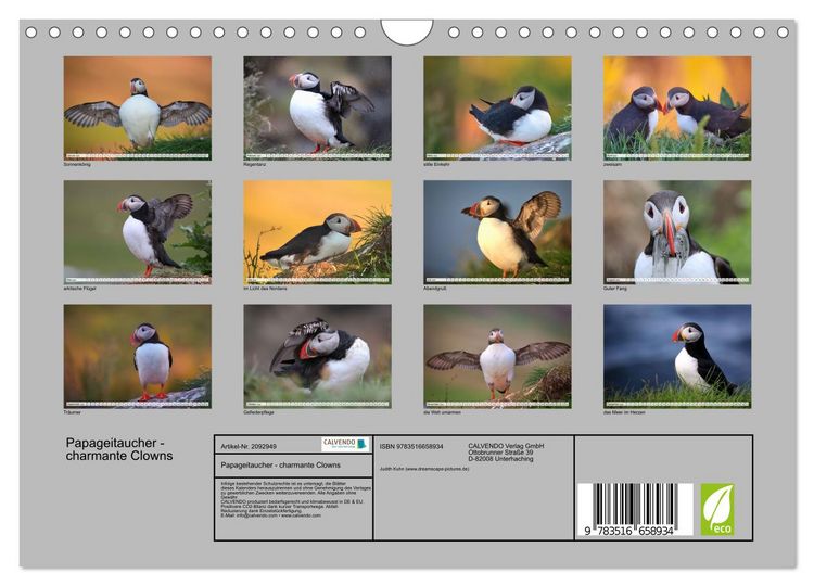 Produktbild: Papageitaucher - charmante Clowns (Wandkalender 2026 DIN A4 quer), CALVENDO Monatskalender