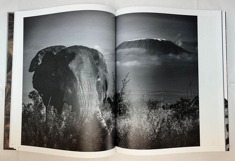 Produktbild: Mital Patel - States of Nature