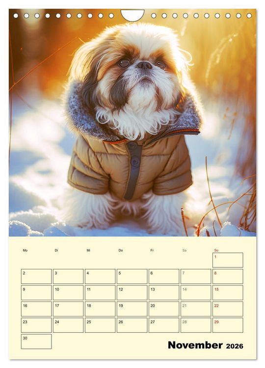 Produktbild: Shih Tzu Alarm. Gl&uuml;ckliche Wuschelk&ouml;pfe (Wandkalender 2026 DIN A4 hoch), CALVENDO Monatskalender