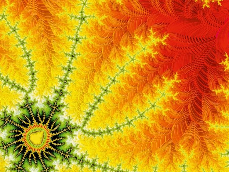 Produktbild: sun seed (Puzzle)