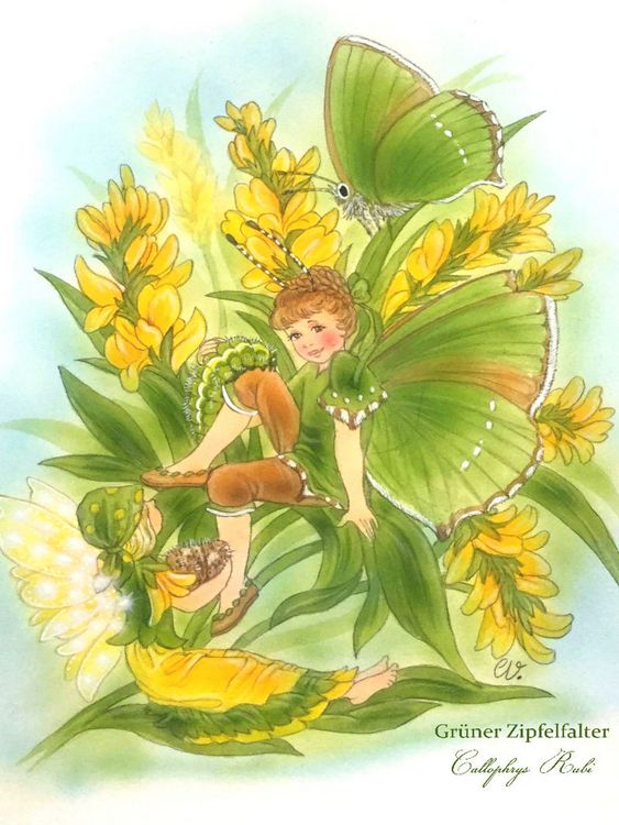 Produktbild: CALVENDO Puzzle Callophrys Rubi - Gr&uuml;ner Zipfelfalter | 1000 Teile Lege-Gr&ouml;&szlig;e 64x48cm Foto-Puzzle f&uuml;r gl&uuml;ckliche Stunden