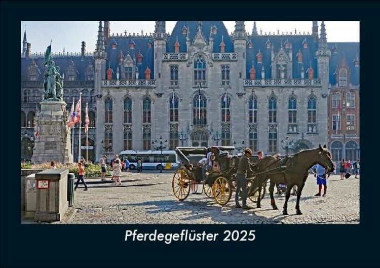Produktbild: Pferdegefl&uuml;ster 2025 Fotokalender DIN A5