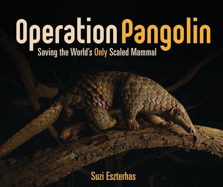 Produktbild: Operation Pangolin