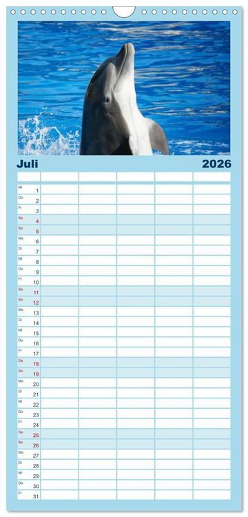 Produktbild: Familienplaner 2026 - Delfine - L&auml;chelnde Intelligenz mit 5 Spalten (Wandkalender, 21 x 45 cm) CALVENDO