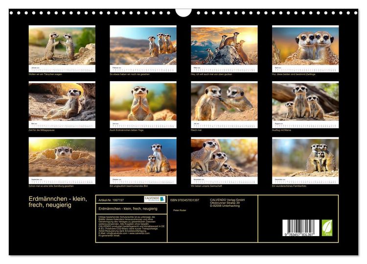 Produktbild: Erdm&auml;nnchen - klein, frech, neugierig (Wandkalender 2026 DIN A3 quer), CALVENDO Monatskalender