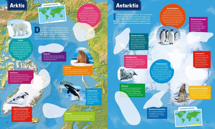 Produktbild: WAS IST WAS Sticker-Atlas Tiere