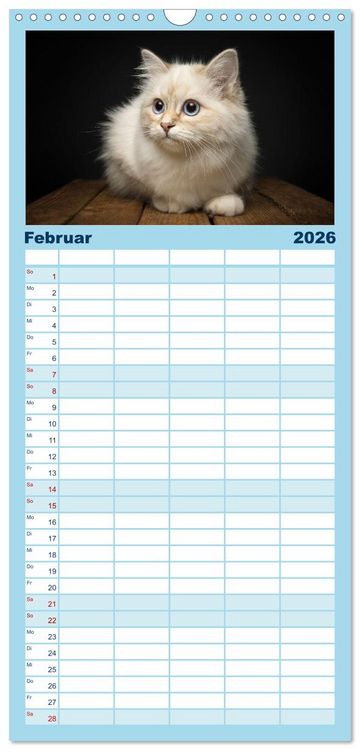 Produktbild: Familienplaner 2026 - Heilige Birma Katzen Kalender mit 5 Spalten (Wandkalender, 21 x 45 cm) CALVENDO