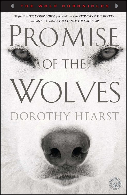 Produktbild: Promise of the Wolves