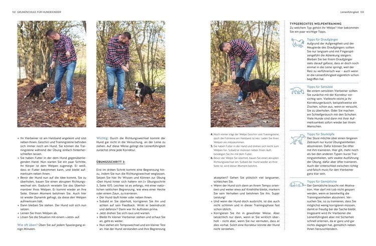 Produktbild: Typgerechtes Welpentraining