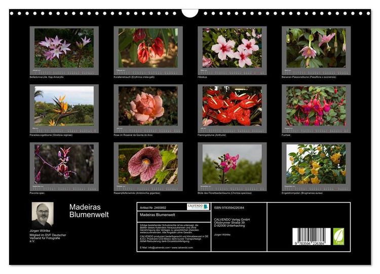 Produktbild: Madeiras Blumenwelt (Wandkalender 2027 DIN A3 quer), CALVENDO Monatskalender