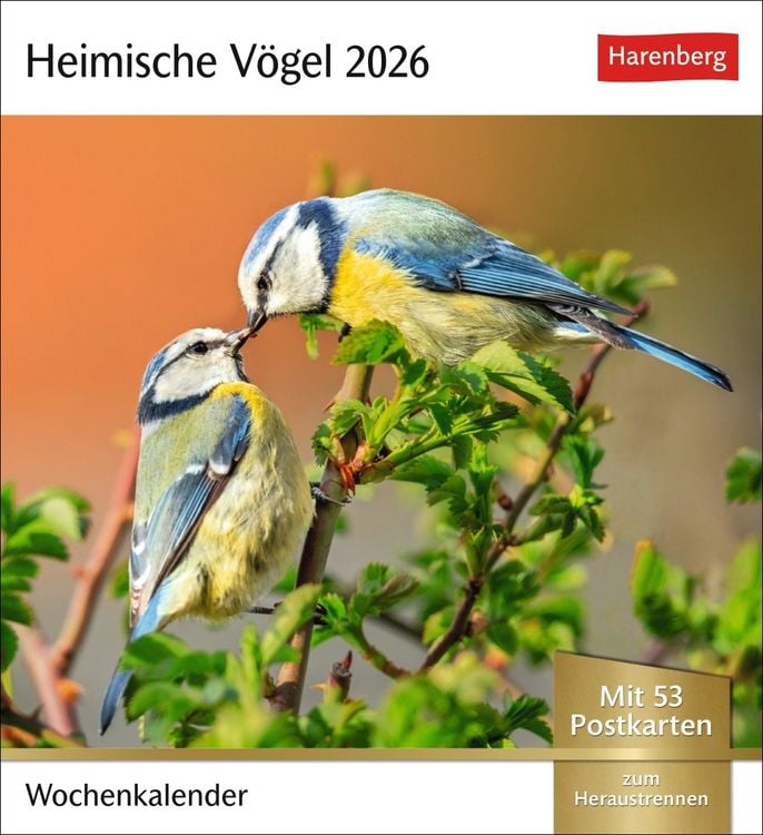 Bild vom Artikel Heimische Vögel Postkartenkalender 2026 - Wochenkalender mit 53 Postkarten vom Autor Harenberg