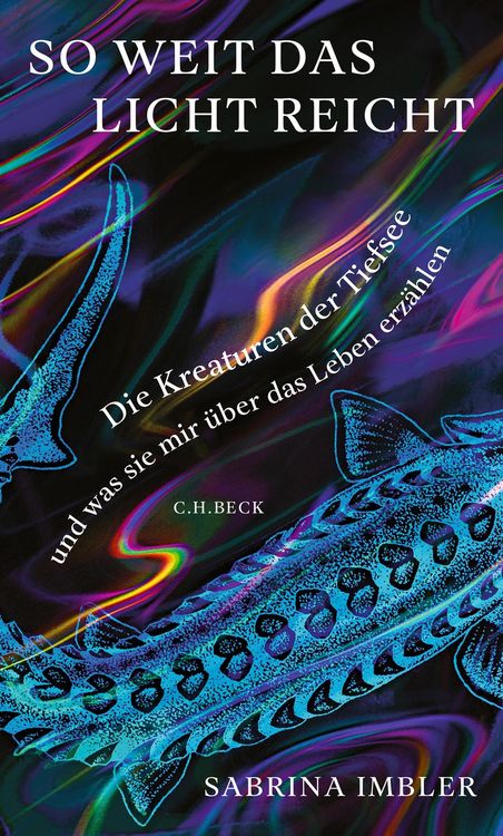 Produktbild: So weit das Licht reicht