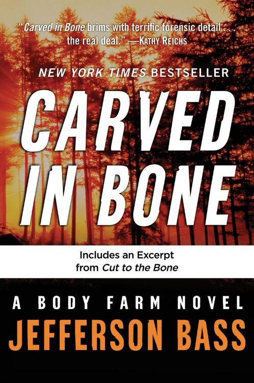Produktbild: Carved in Bone