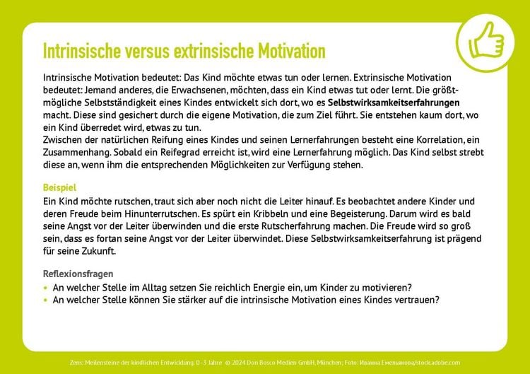 Produktbild: Meilensteine der kindlichen Entwicklung