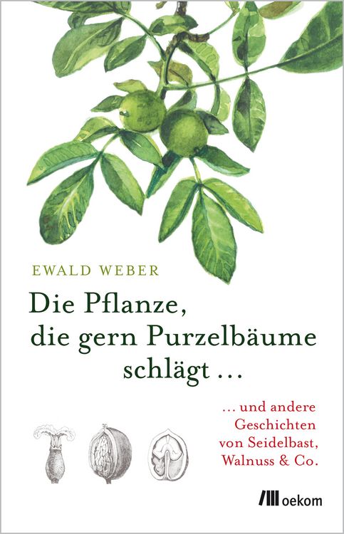 Produktbild: Die Pflanze, die gern Purzelb&auml;ume schl&auml;gt
