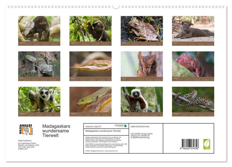 Produktbild: Madagaskars wundersame Tierwelt (hochwertiger Premium Wandkalender 2026 DIN A2 quer), Kunstdruck in Hochglanz