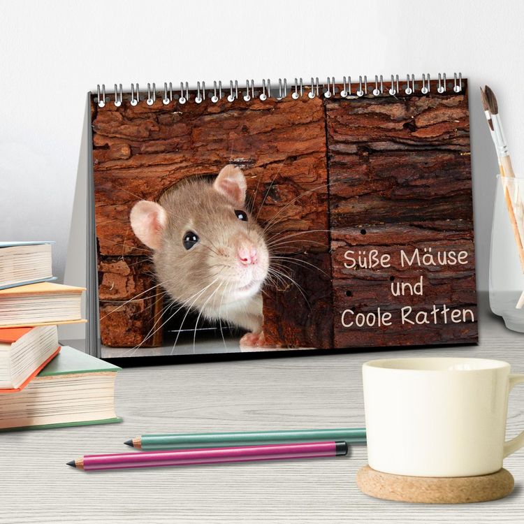 Produktbild: S&uuml;&szlig;e M&auml;use und Coole Ratten (Tischkalender 2026 DIN A5 quer), CALVENDO Monatskalender