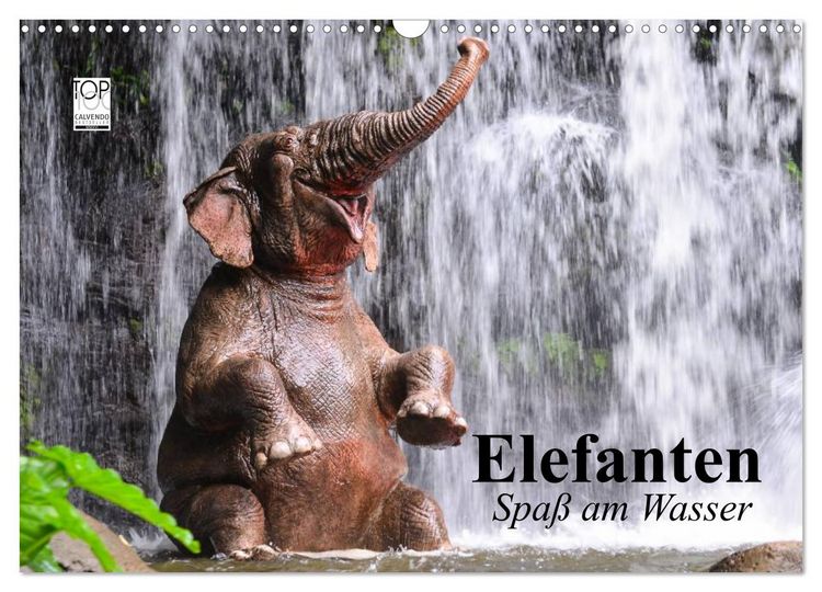 Produktbild: Elefanten. Spa&szlig; am Wasser (Wandkalender 2026 DIN A3 quer), CALVENDO Monatskalender