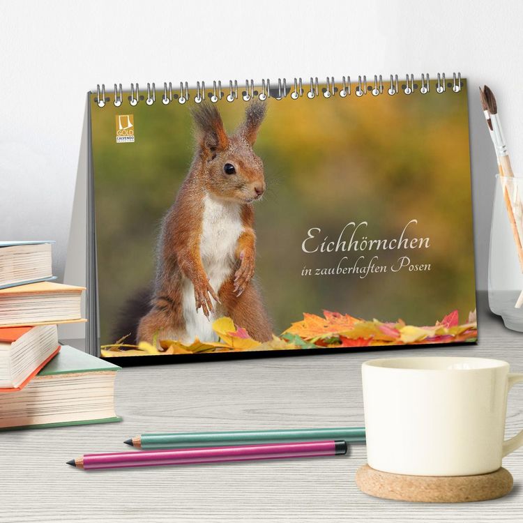 Produktbild: Eichh&ouml;rnchen in zauberhaften Posen (Tischkalender 2026 DIN A5 quer), CALVENDO Monatskalender