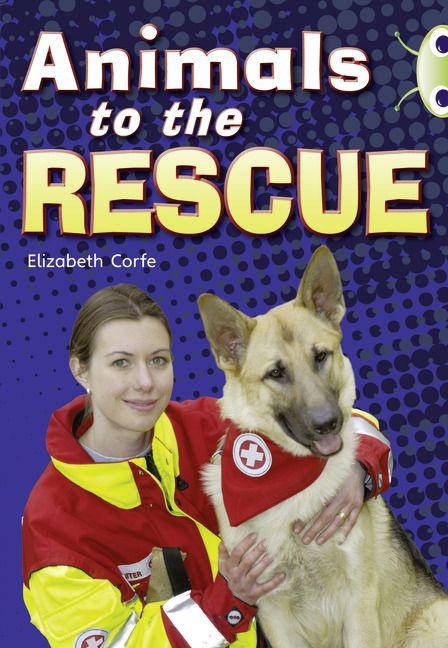 Produktbild: Bug Club Guided Non Fiction Year 2 Gold B Animals to the Rescue
