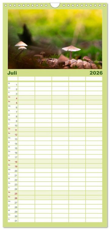 Produktbild: Familienplaner 2026 - Pilzmagie mit 5 Spalten (Wandkalender, 21 x 45 cm) CALVENDO